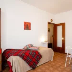 151_3586_zona_giorno_con_letto_singolo_Borghetto_Santo_Spirito