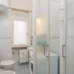 187_1381_bagno_ristrutturato_con_doccia_e_finestra_Borghetto_Santo_Spirito