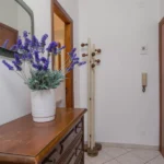 240_1665_DISIMPEGNO_Borghetto_Santo_Spirito