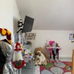 348_5656_Cameretta_Borghetto_Santo_Spirito