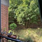 354_5875_Balcone_seconda_camera_Borghetto_Santo_Spirito-1
