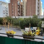 364_6121_Balcone_Borghetto_Santo_Spirito